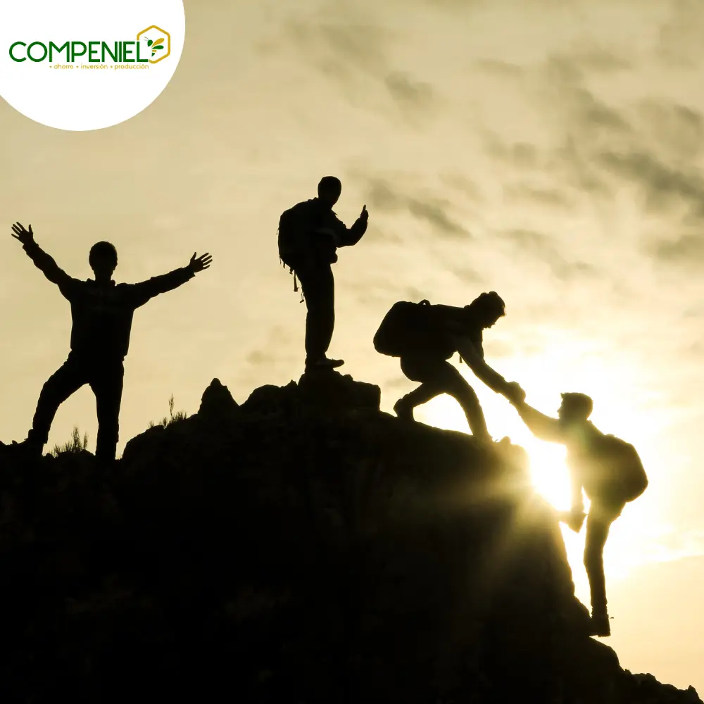 beneficios-de-una-cooperativa qué es una cooperativa de ahorro y crédito